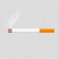 Cigarette isolated on background. Vector illustrations in realistic style