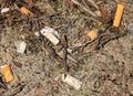 Cigarette litter