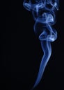 Cigarette smoke in the form of a head of a bull Royalty Free Stock Photo