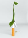 Cigarette with a sprouting plant. Royalty Free Stock Photo