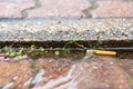 A cigarette stub in front of a board stone in the rain