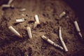 cigarettes and ash on sand in trash tray Royalty Free Stock Photo