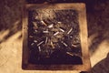 cigarettes and ash on sand in trash tray Royalty Free Stock Photo