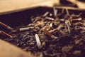 cigarettes and ash on sand in trash tray