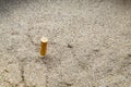 Cigarettes in sand ashtray Royalty Free Stock Photo