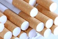 Cigarettes in close-up Royalty Free Stock Photo