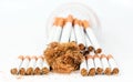 cigarettes in a disposable cup and tobacco on white background Royalty Free Stock Photo