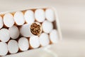 Cigarettes Royalty Free Stock Photo