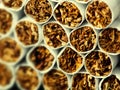 Cigarettes in pack Royalty Free Stock Photo