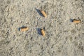 Cigarettes on the street garbage Royalty Free Stock Photo