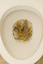 Cigarettes in the Toilet Royalty Free Stock Photo