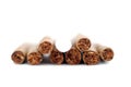 Cigarillo in a white background Royalty Free Stock Photo