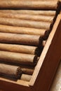 Cigars box Royalty Free Stock Photo