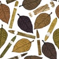 Cigars of different shapes and colors with tobacco leaf