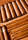 Cigars in humidor Royalty Free Stock Photo