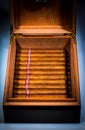 Cigars in humidor Royalty Free Stock Photo