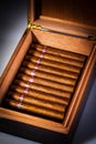 Cigars in humidor Royalty Free Stock Photo