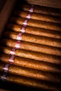 Cigars in humidor Royalty Free Stock Photo