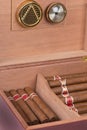 Cigars in humidor Royalty Free Stock Photo