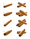 Cigars set. Vector