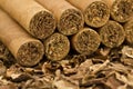 Cigars on Tobacco Royalty Free Stock Photo