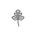 Cilantro herb line icon