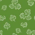 Cilantro outline seamless pattern on green background. Simple vector monochrome illustration