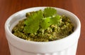 Cilantro pesto Royalty Free Stock Photo