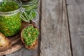 Cilantro pesto background Royalty Free Stock Photo