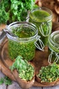 Cilantro pesto Royalty Free Stock Photo