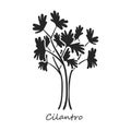 Cilantro vector icon.Black,simple vector icon isolated on white background cilantro.