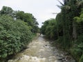 Ciliwung river in Bogor. Royalty Free Stock Photo