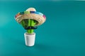 Cinco de Mayo holiday background. Cactus, sombrero hat on tilt green background. Royalty Free Stock Photo