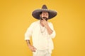 Cinco de Mayo. Mexican Day of the Dead. 5th of May. Let have fun. celebrating fiesta. happy man in mexican sombrero hat Royalty Free Stock Photo