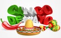 Cinco De Mayo Sign Sombrero Maracas and Pepper Royalty Free Stock Photo