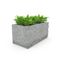 Cinder block urban garden on a white. 3D illustration