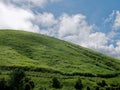 Cinder cone mountain covered with green annual plant against blue sky and white clouds background