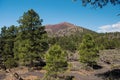 Sunset Crater Volcano National Monument Royalty Free Stock Photo