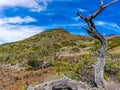 Cinder Cone and Volcanic Landscape of Mauna Kea Royalty Free Stock Photo