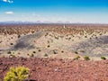 Doney Craters in Coconino National Forest