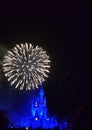 Cinderella Castle Royalty Free Stock Photo