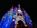 Cinderella Castle with night projections, with 50th medallion