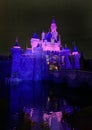 Cinderella Disney Castle Night