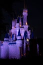 Cinderella's Castle