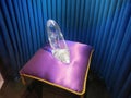 Cinderella's Glass Slipper