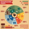 Cinema entertainment business infographics