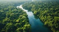 Cinematic, Aerial Photography, dense Amazon Rainforest, tropical wet climate, rich greens of the canopy, winding rivers