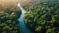 Cinematic, Aerial Photography, dense Amazon Rainforest, tropical wet climate, rich greens of the canopy, winding rivers