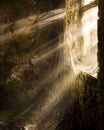 A cinematic close-up shot of a cobweb-draped window of a desolate ancient house