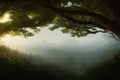 Cinematic and surreal misty forest at sunset with overhanging branches, created with Generative AI technology